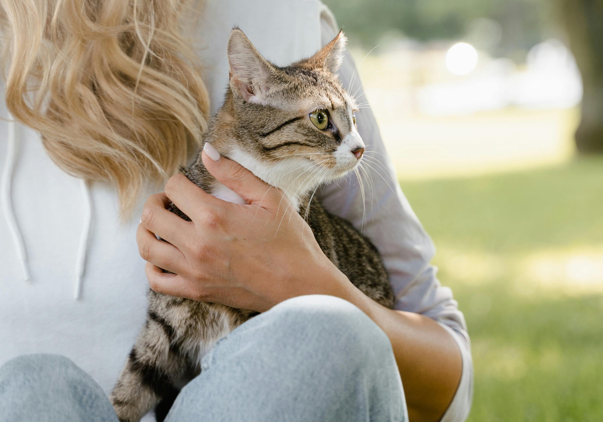 Spring Into Health: What Your Pet Needs This Season