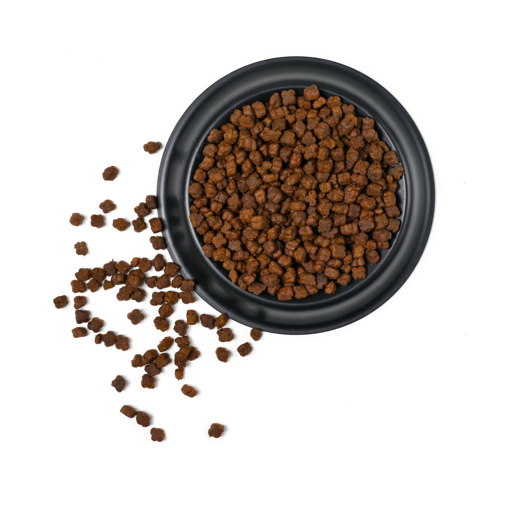 Cat Dry Food Canada