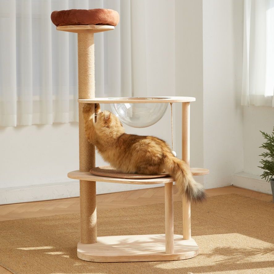 Cat Furniture & Scratchers