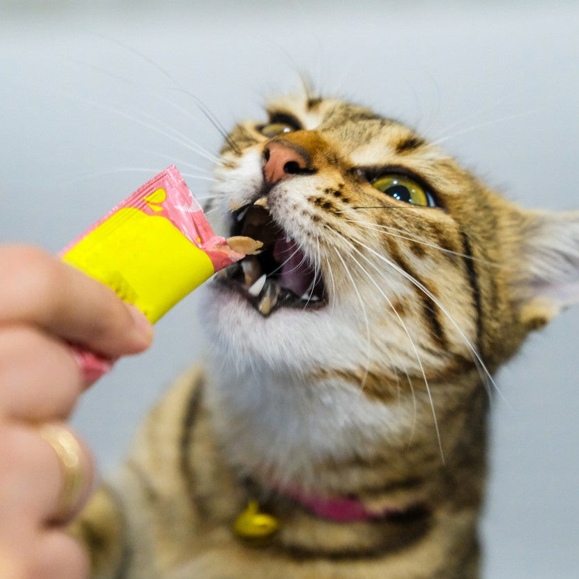 Cat Lickable / Puree Treats