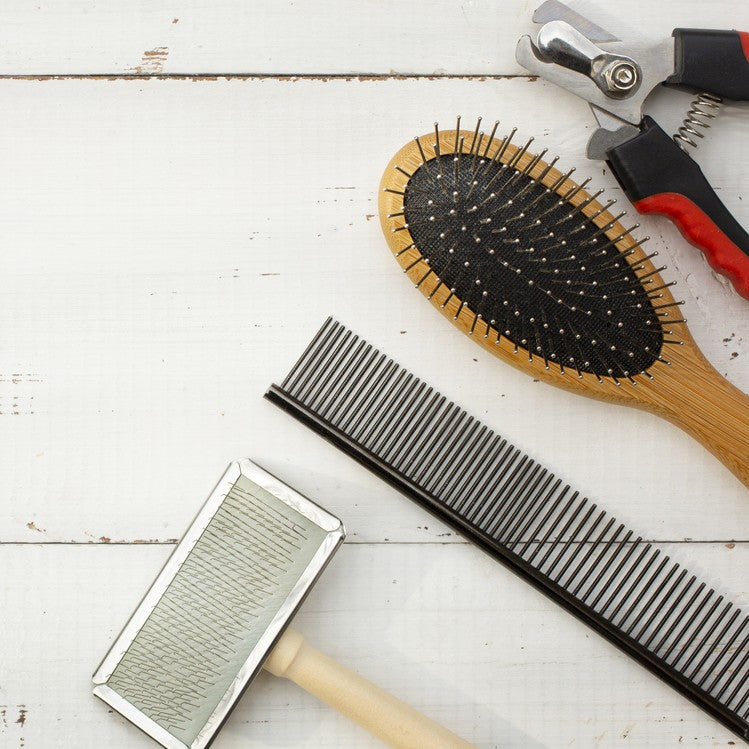 dog-brushes-clippers-tools-toronto