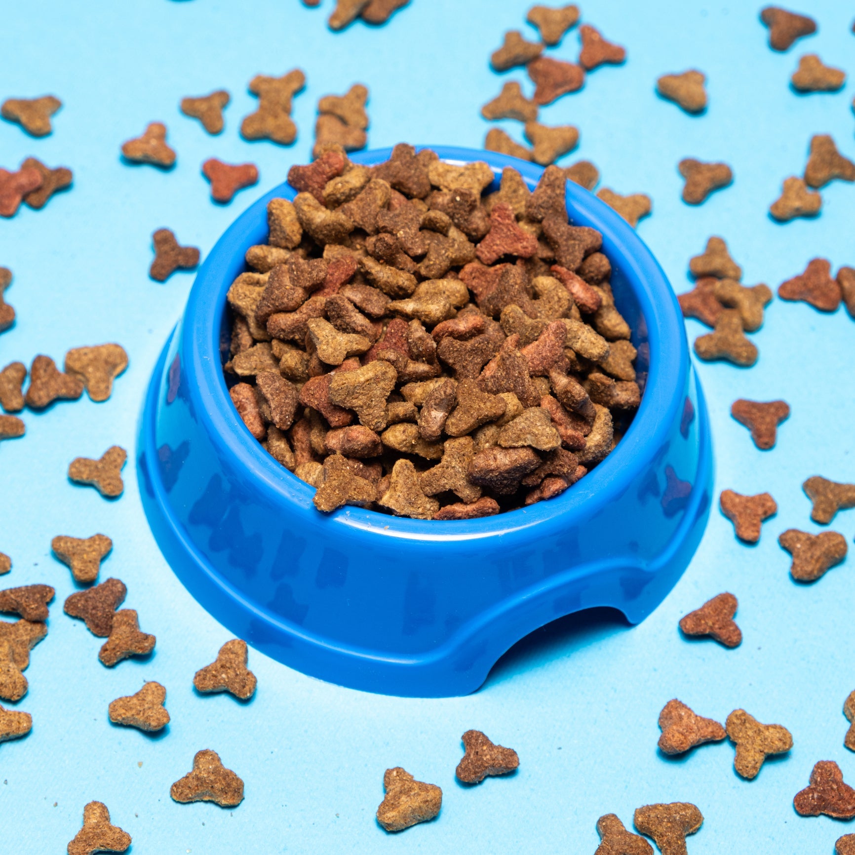 Dog Dry Food