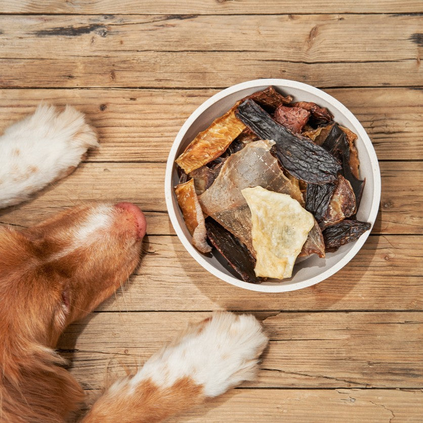 Dog Functional Treats