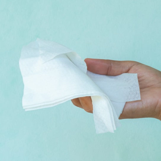 Dog Wipes & Deodorizers