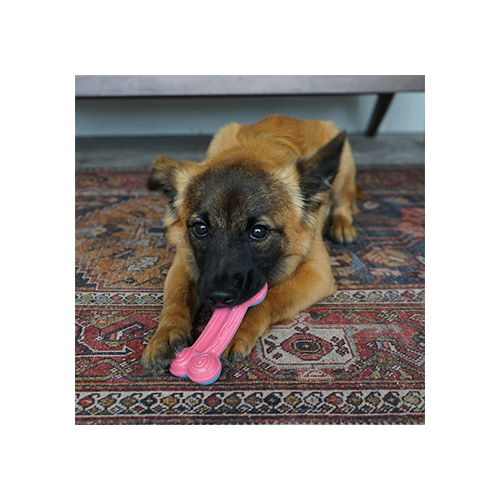 Jouet pour chien Kong ChewStix Puppy Curve Bone