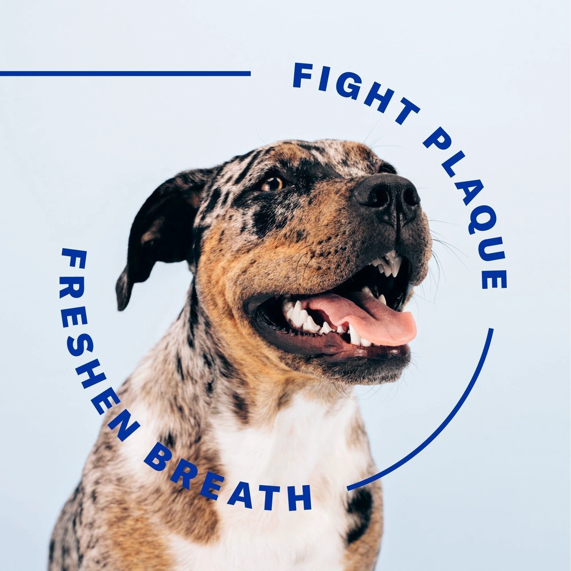 Suchgood Original Breath Spray 4oz by Suchgood