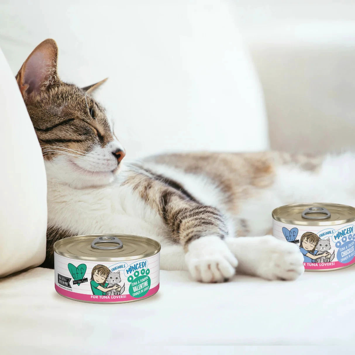 Weruva B.F.F. Tuna & Shrimp Sweethearts Recipe Cat Can by Weruva