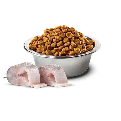 Farmina N&D Quinoa Skin & Coat Duck Neutered Mini Dog Food by Farmina