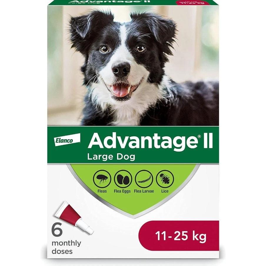 Advantage II Flea Treatment for Large Dogs (11 - 25 kg) by BEAM Pharmacy