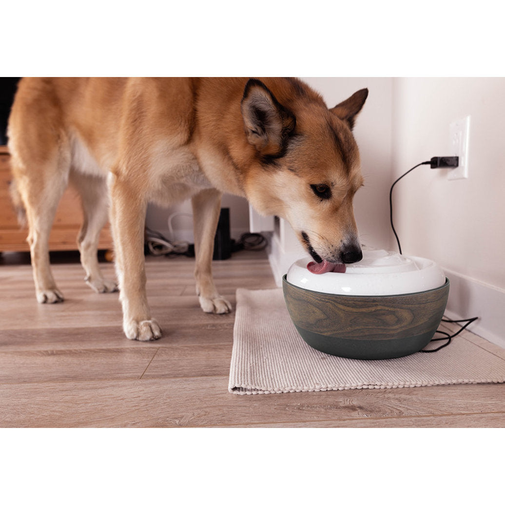 Be One Breed Bamboo pet water fountain