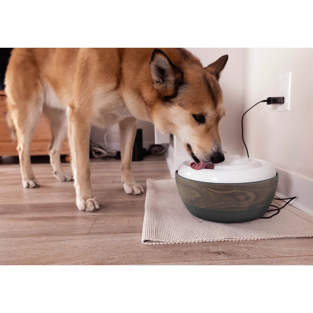 Be One Breed Bamboo pet water fountain by Be One Breed