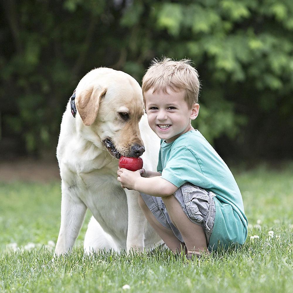 KONG Classic Dog Toy by KONG
