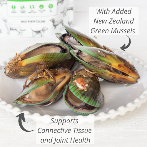 Meow Freeze Dried Cat Treats New Zealand Green Mussels 1.76oz/50g