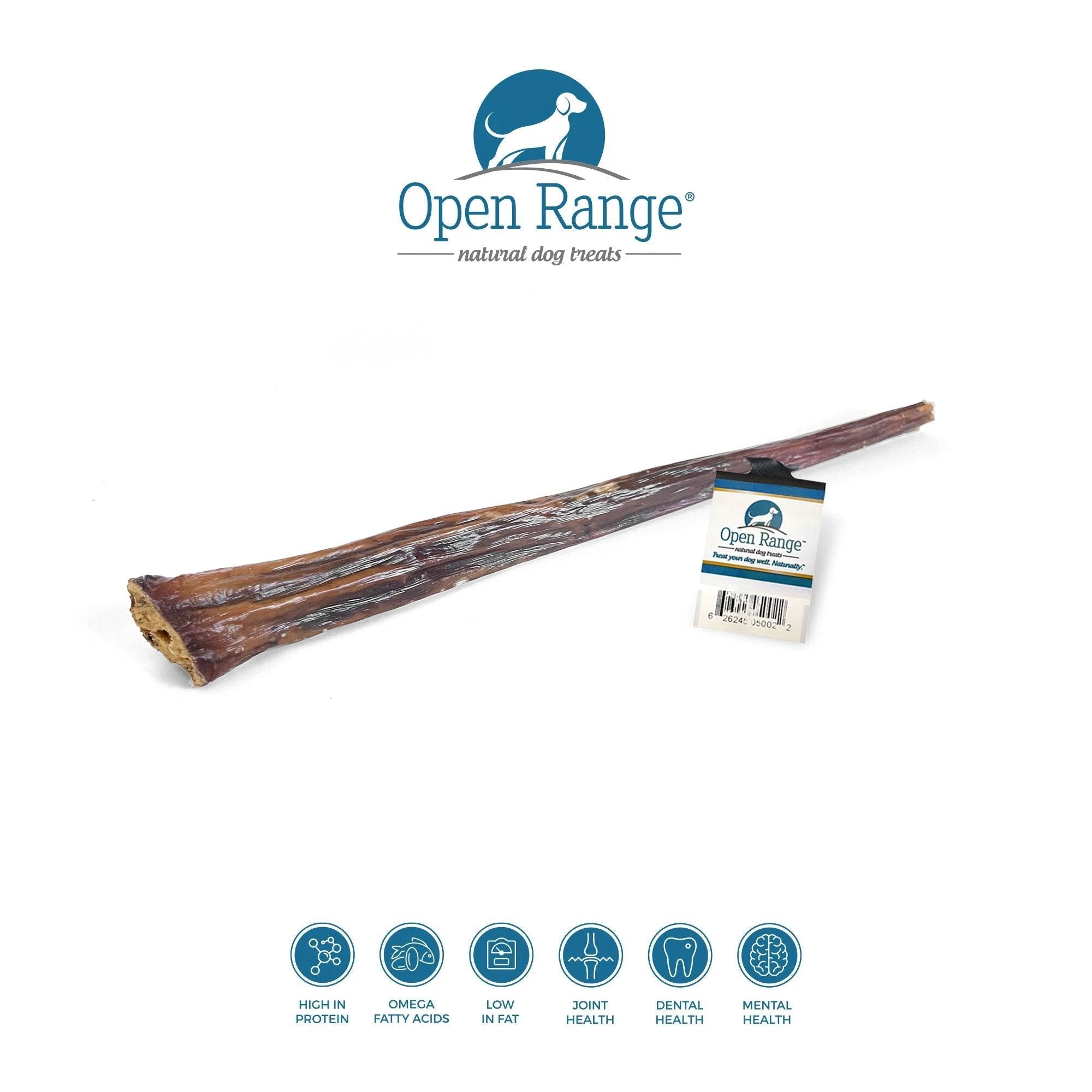 Open Range Beef Chomper Stick Dog 12'' by Open Range