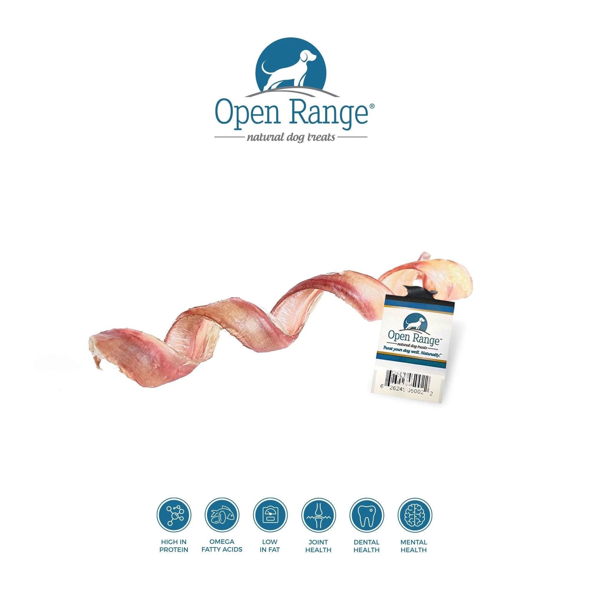 Open Range Bully Spring Dog 11-12'' by Open Range