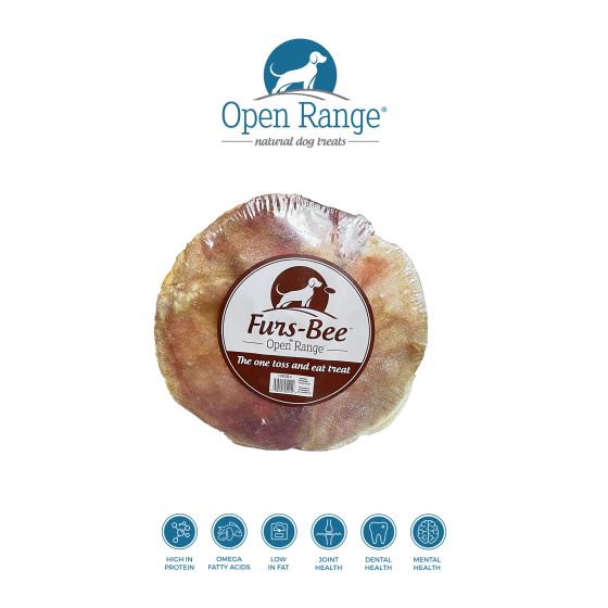 Abeille à fourrures en plein air