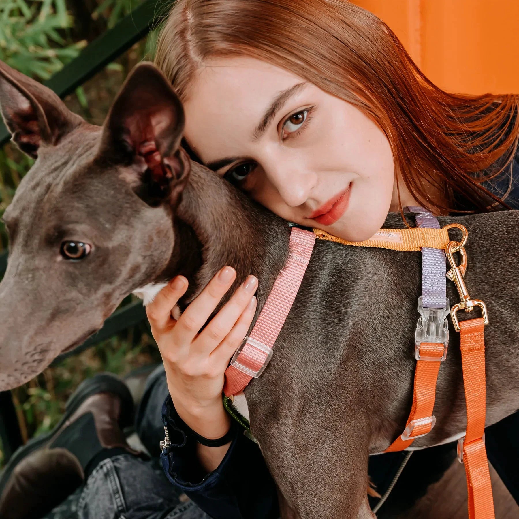 Tinklylife Fantastic Rainbow Easy Walk Harness by Tinklylife