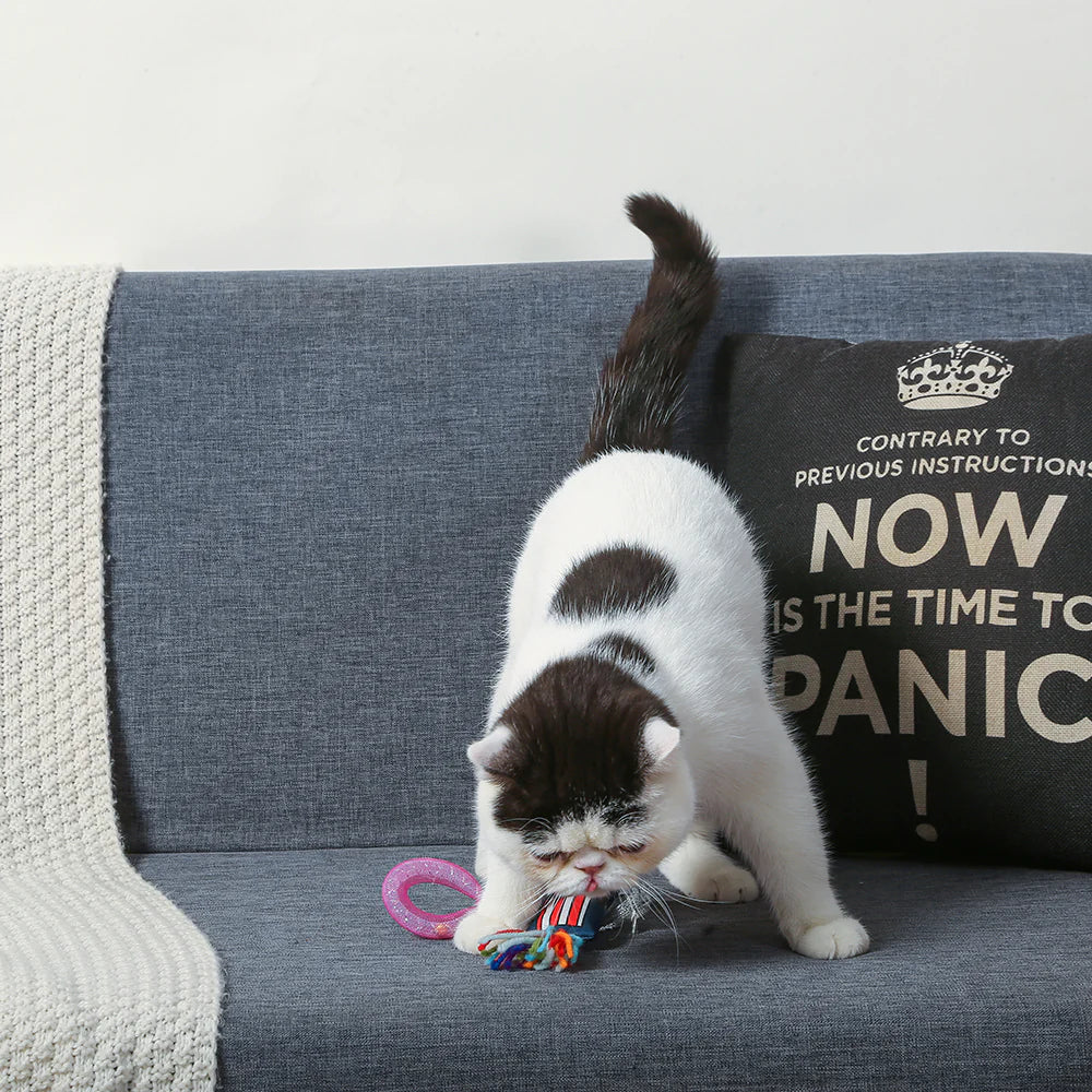 HugSmart Kitten Party Popcorn Toy