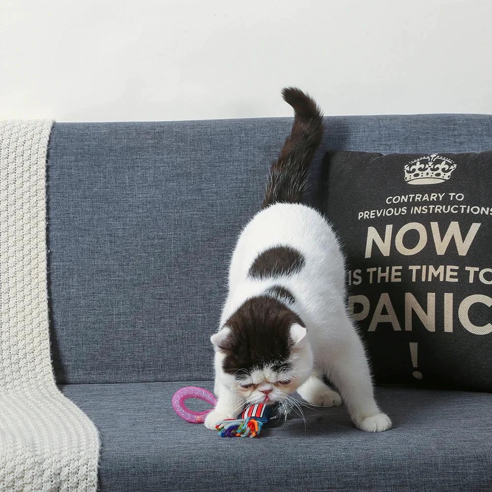 HugSmart Kitten Party Popcorn Toy by HugSmart