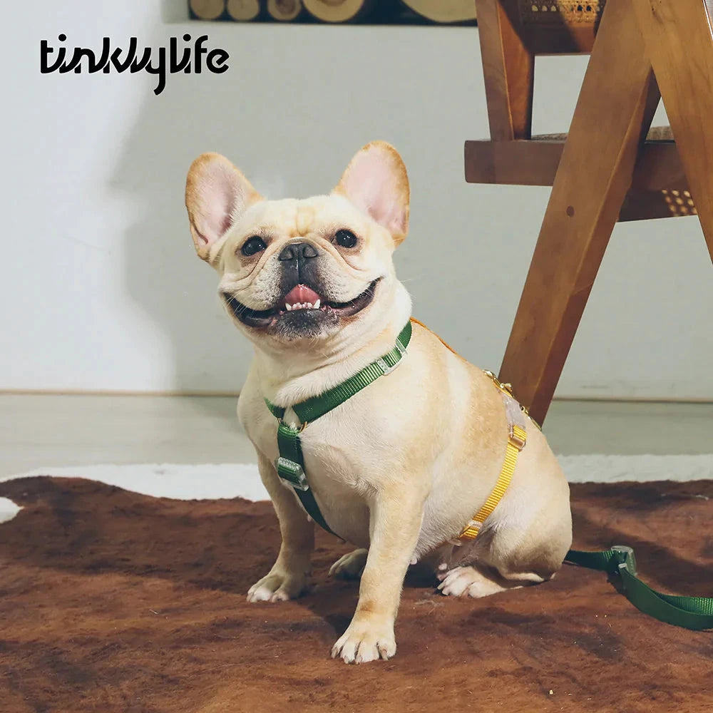 Tinklylife Fantastic Rainbow Easy Walk Harness by Tinklylife