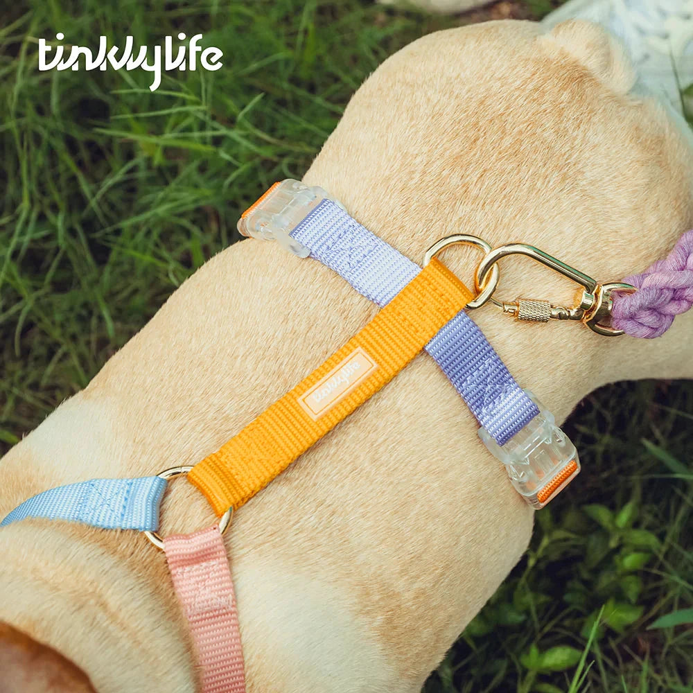 Tinklylife Fantastic Rainbow Easy Walk Harness by Tinklylife