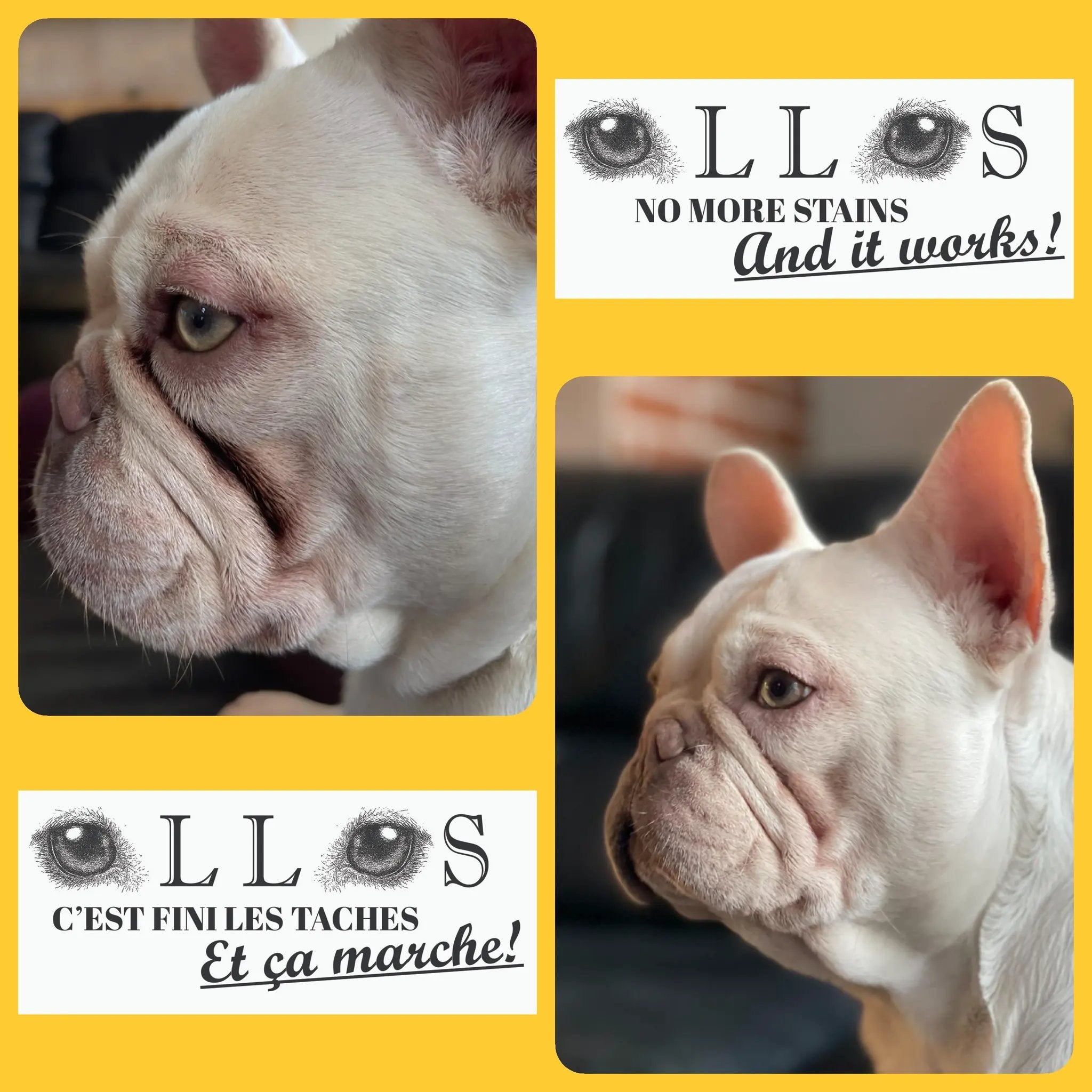 Ollos Tear Stain Remover Powder by Ollos