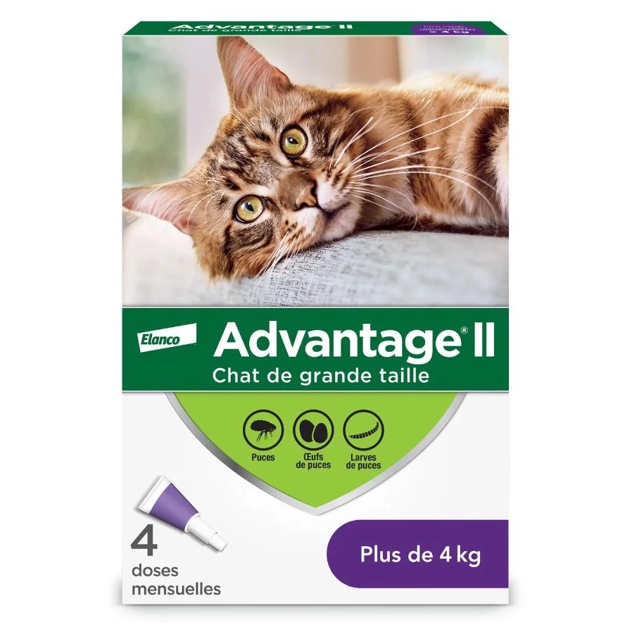 Advantage II Flea Protection for Cats by BEAM Pharmacy