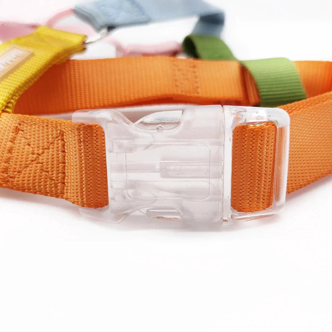 Tinklylife Fantastic Rainbow Easy Walk Harness by Tinklylife