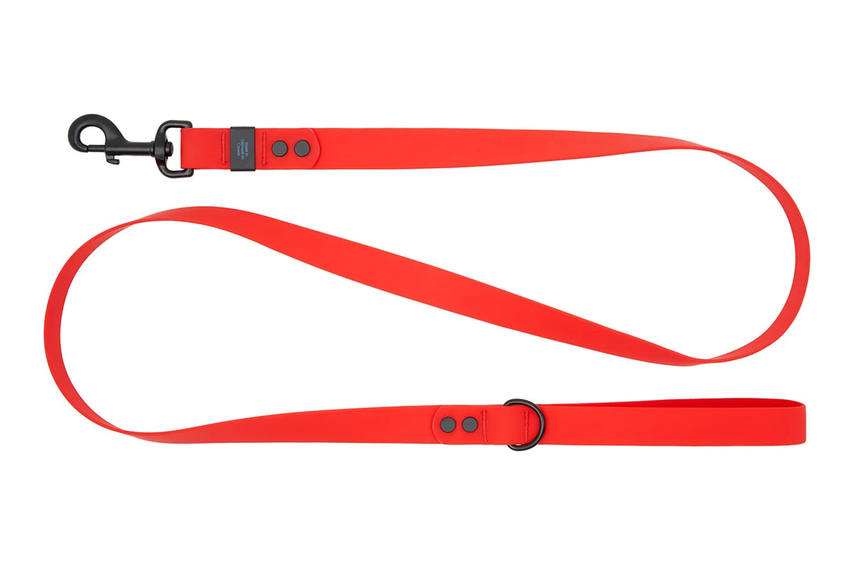 RC Pets Waterproof Leash