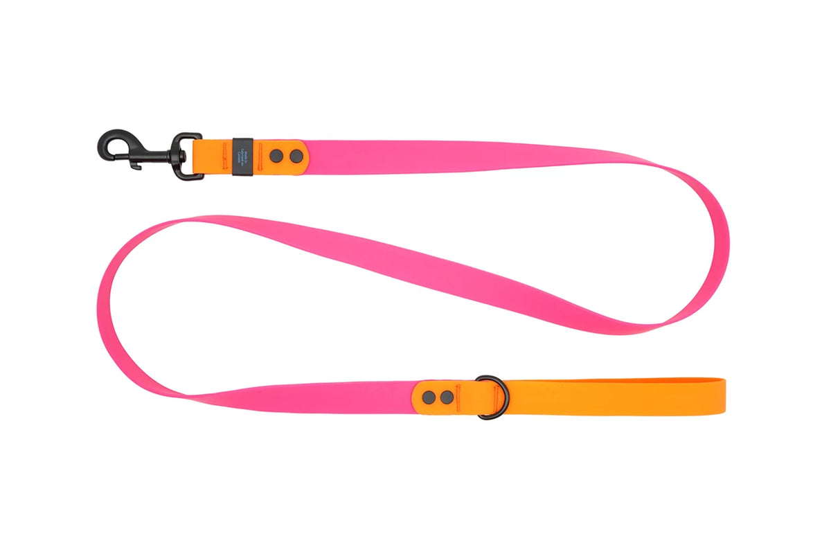 RC Pets Waterproof Leash