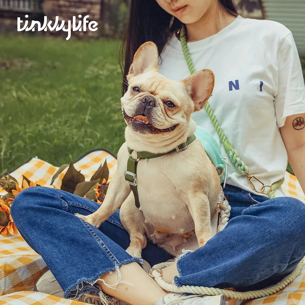 Tinklylife Fantastic Rainbow Easy Walk Harness by Tinklylife