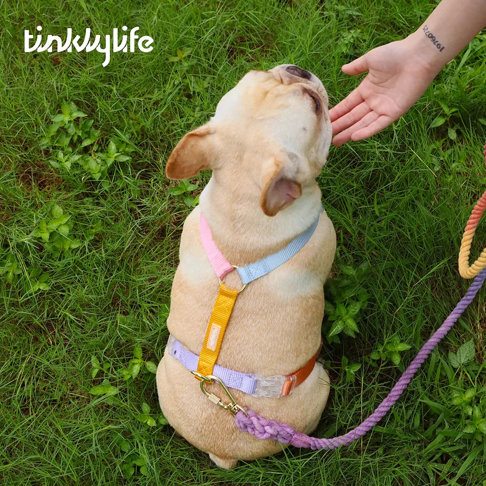 Tinklylife Fantastic Rainbow Easy Walk Harness by Tinklylife