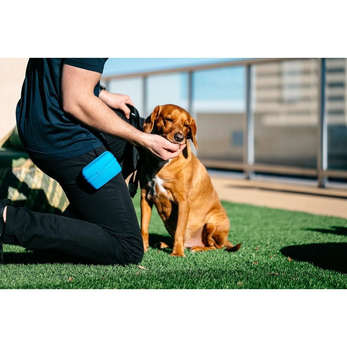 Dexas Popware Silicone Pooch Pouch Dog Treat Holder by Dexas