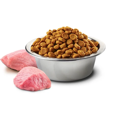 Farmina N&D Pumpkin Lamb & Blueberry Mini Dog Food by Farmina