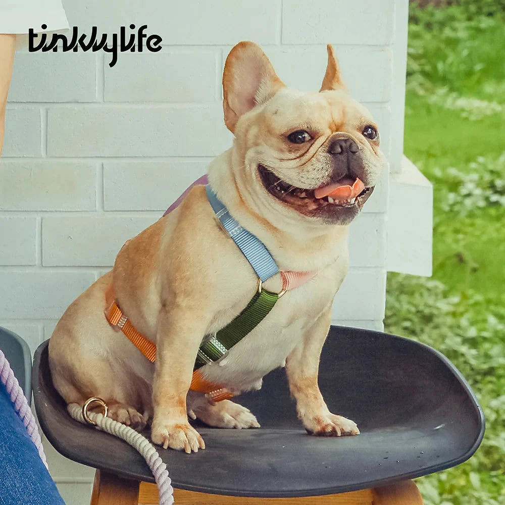 Tinklylife Fantastic Rainbow Easy Walk Harness by Tinklylife