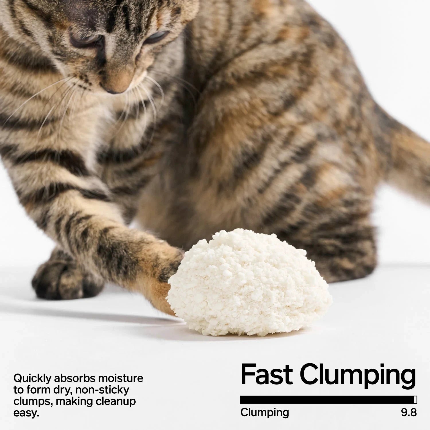 Pidan Cassava Cat Litter, 2.4 kg per bag by Pidan