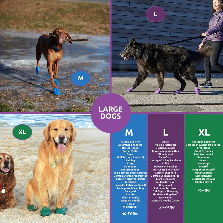 PawZ Rubber Dog Boots, 12 Boots (1 pack) by Pawz