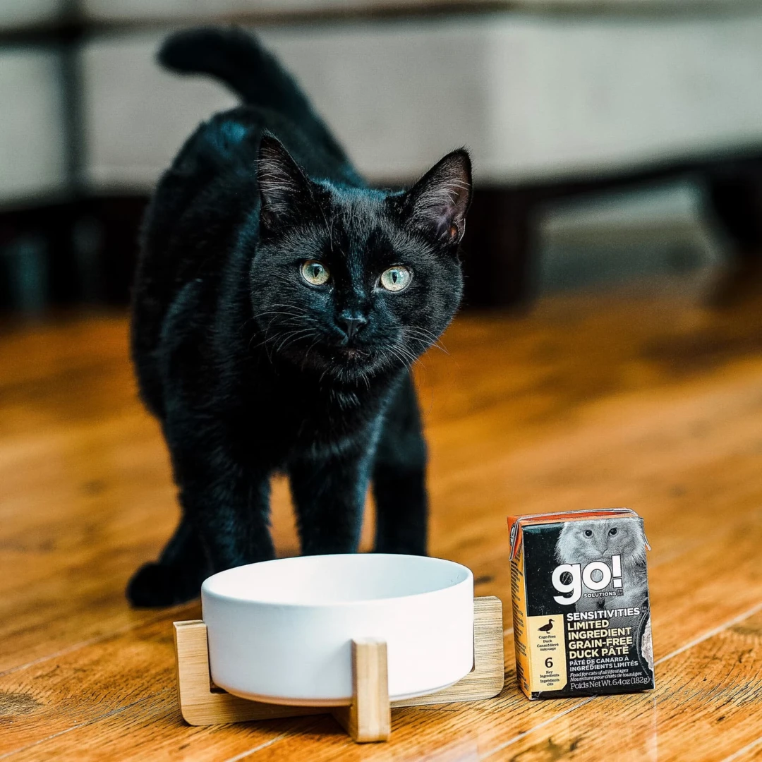 Go Sensitivities Duck Pâté Grain-Free Limited Ingredient Cat Food by Go Solution