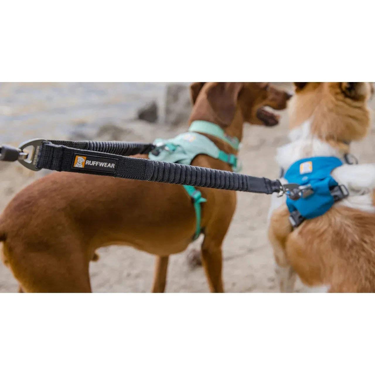 Ruffwear Double Track™ Dog Leash Coupler by Ruffwear