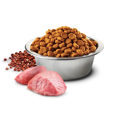 Farmina N&D Quinoa Digestion Lamb Cat Food by Farmina