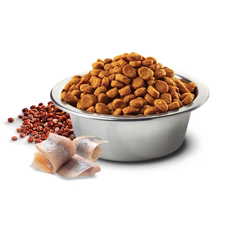 Farmina N&D Quinoa Skin & Coat Quail & Coconut Cat Wet Food Can by Farmina