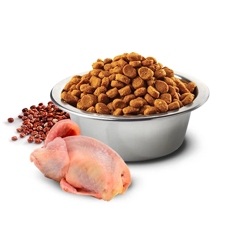 Farmina N&D Quinoa Skin & Coat Quail & Coconut Cat Food by Farmina