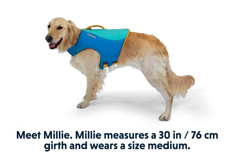 Ruffwear Float Coat™ Dog Life Jacket by Ruffwear