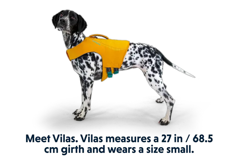 Ruffwear Float Coat™ Dog Life Jacket by Ruffwear