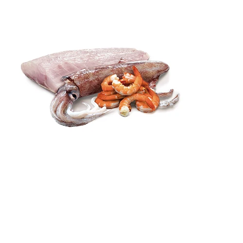 Farmina N&D Ocean Sea Bass, Sardine & Shrimp Cat Wet Food by Farmina