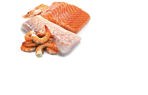 Farmina N&D Ocean Salmon, Codfish & Shrimp Cat Wet Food