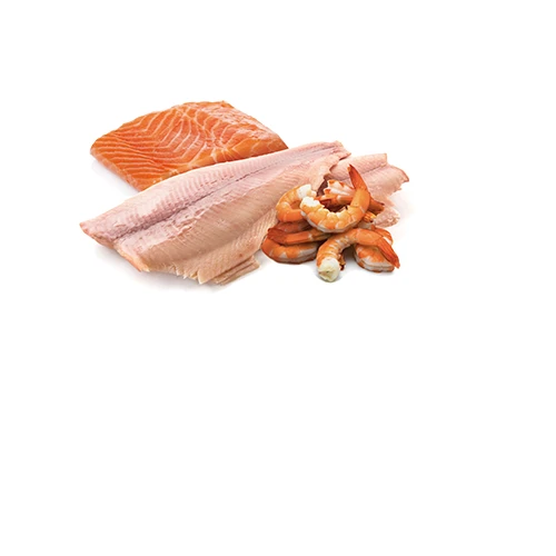 Farmina N&D Ocean Trout, Salmon & Shrimp Cat Wet Food 24x2.8oz Pack by Farmina