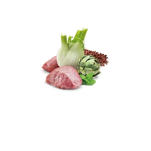 Farmina N&D Quinoa Digestion Lamb Mini Dog Food by Farmina