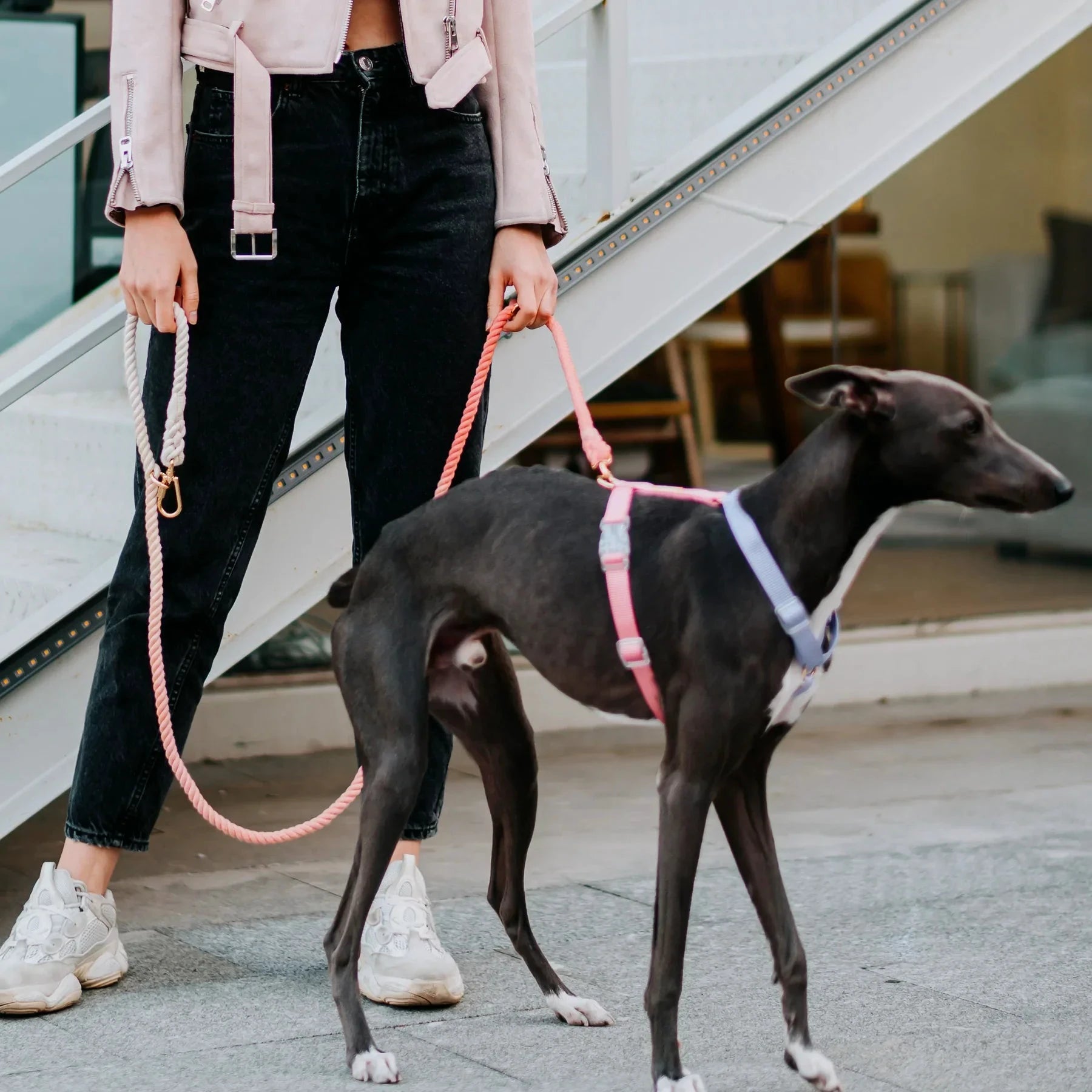 Tinklylife Fantastic Rainbow Easy Walk Harness by Tinklylife