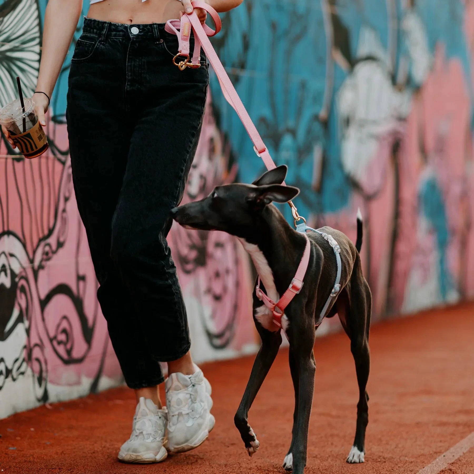 Tinklylife Fantastic Rainbow Easy Walk Harness by Tinklylife